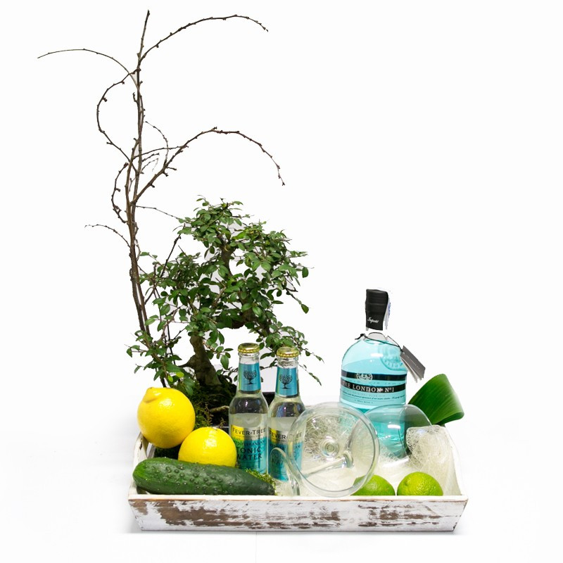 BONSAI AND GIN