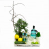 BONSAI AND GIN