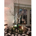 DECORACIÓN FLORES Y PLANTAS EVENTOS EV808