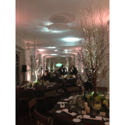 DECORACIÓN FLORES Y PLANTAS EVENTOS EV810