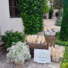 DECORACIÓN EXTERIORES BODA NE27