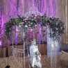 DECORACIÓN FLORES Y PLANTAS EVENTOS EV814