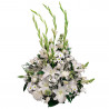 LILIUM WHITE