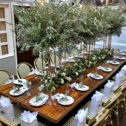 DECORACIÓN FLORES Y PLANTAS EVENTOS EV-19068