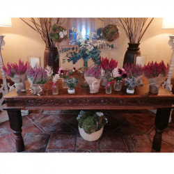 DECORACIÓN FLORES Y PLANTAS EVENTOS EV-19088