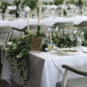 DECORACIÓN FLORES Y PLANTAS EVENTOS 19122675