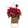 XMAS BAG POINSETTIA