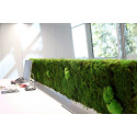 JARDINES VERTICALES 202102