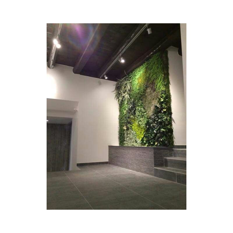 JARDINES VERTICALES 202105