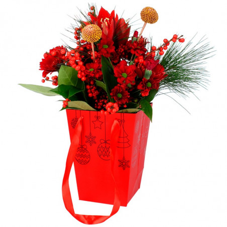 RED XMAS BAG