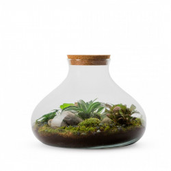 MICROCLIMA TERRARIUM NATURAL SELVA