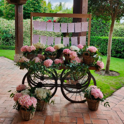 DECORACIÓN BANQUETE DE BODA BA-23006 