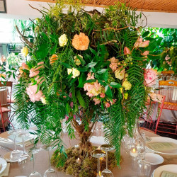 EVENTOS EV-23001