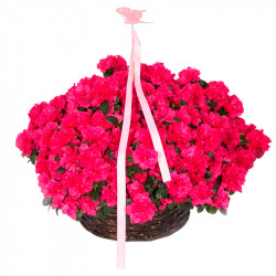 CESTA DE FLORES ALACANT