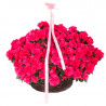 CESTA DE FLORES ALACANT