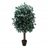 ÁRBOL PÓPULUS 120 CM.