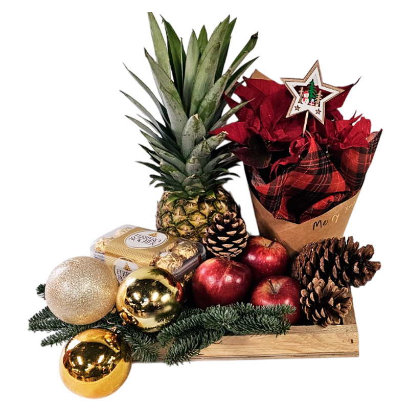 CENTRO DE NAVIDAD CHRISTMAS TROPIC