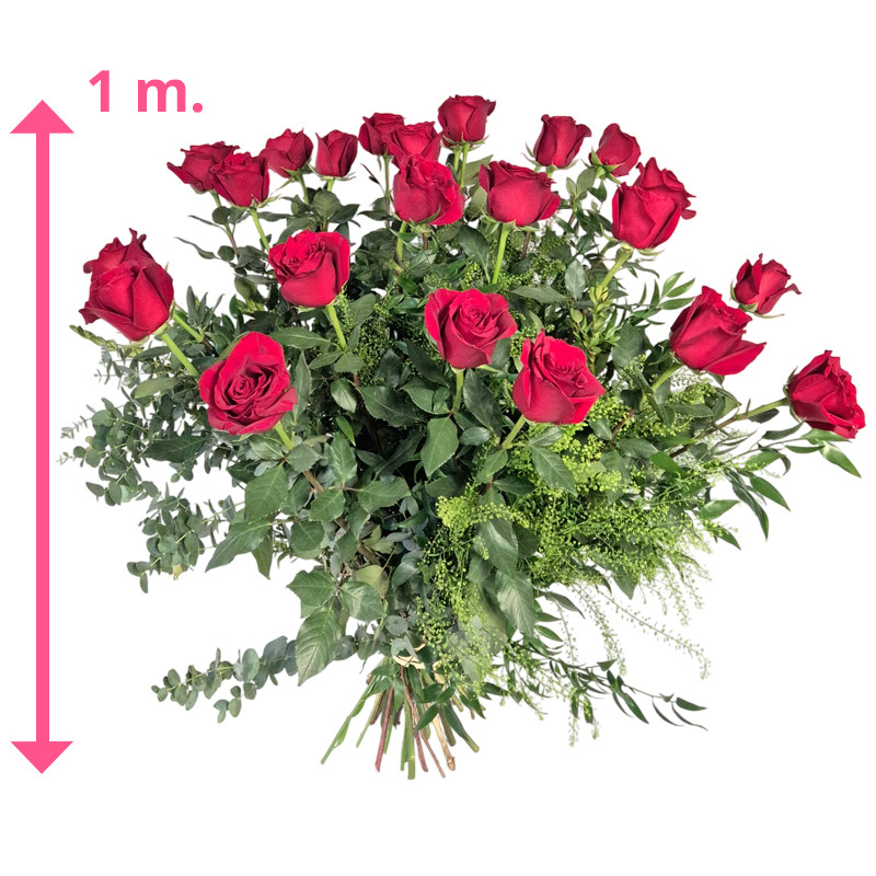 24 ROSAS ROJAS DE 1 METRO DE LONGITUD