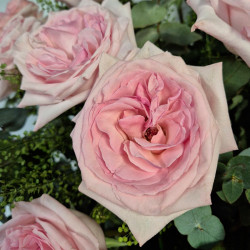 JARRÓN DE ROSAS JARDÍN TONOS ROSAS