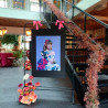 EVENTOS EV-25003