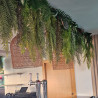 JARDINES VERTICALES 25004