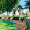 DECORACIÓN CEREMONIA DE BODA CE-25033
