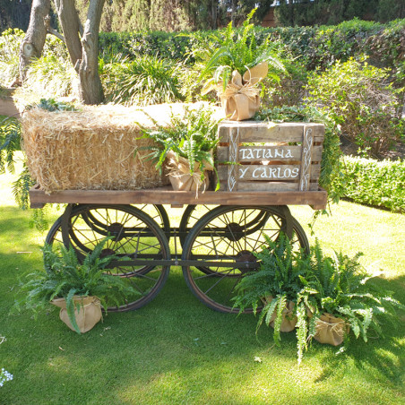 DECORACIÓN EXTERIORES BODA EX-25007