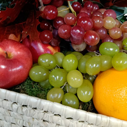 CENTRO DE FRUTAS CANARIAS