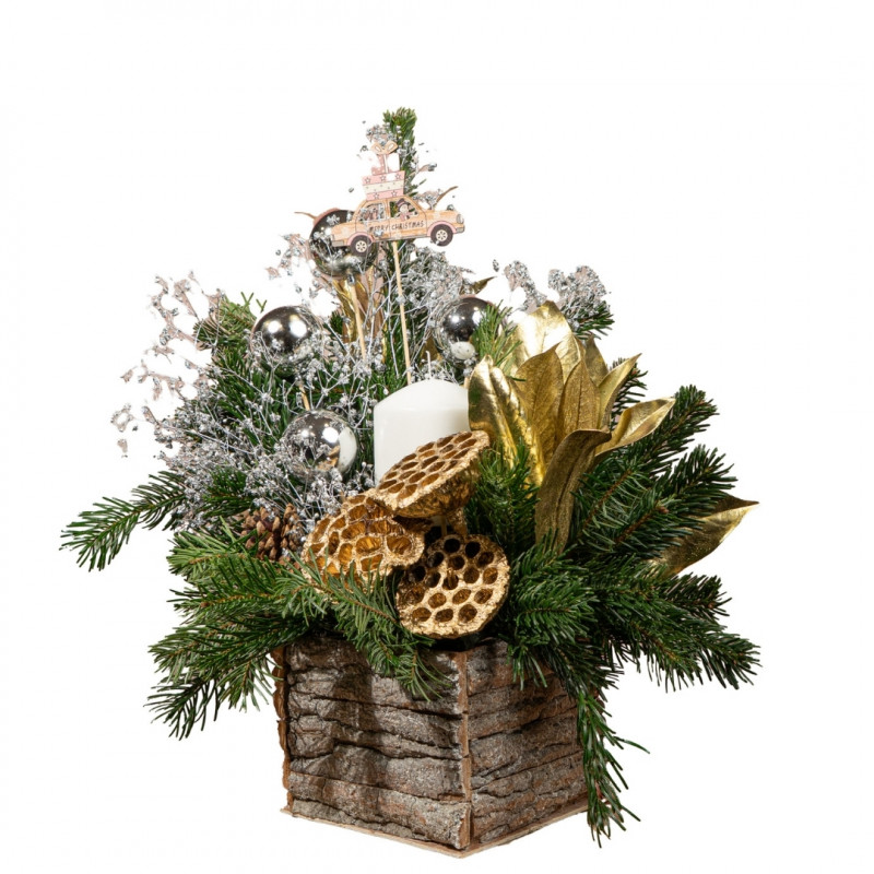 CENTRO NAVIDEÑO LOTUS