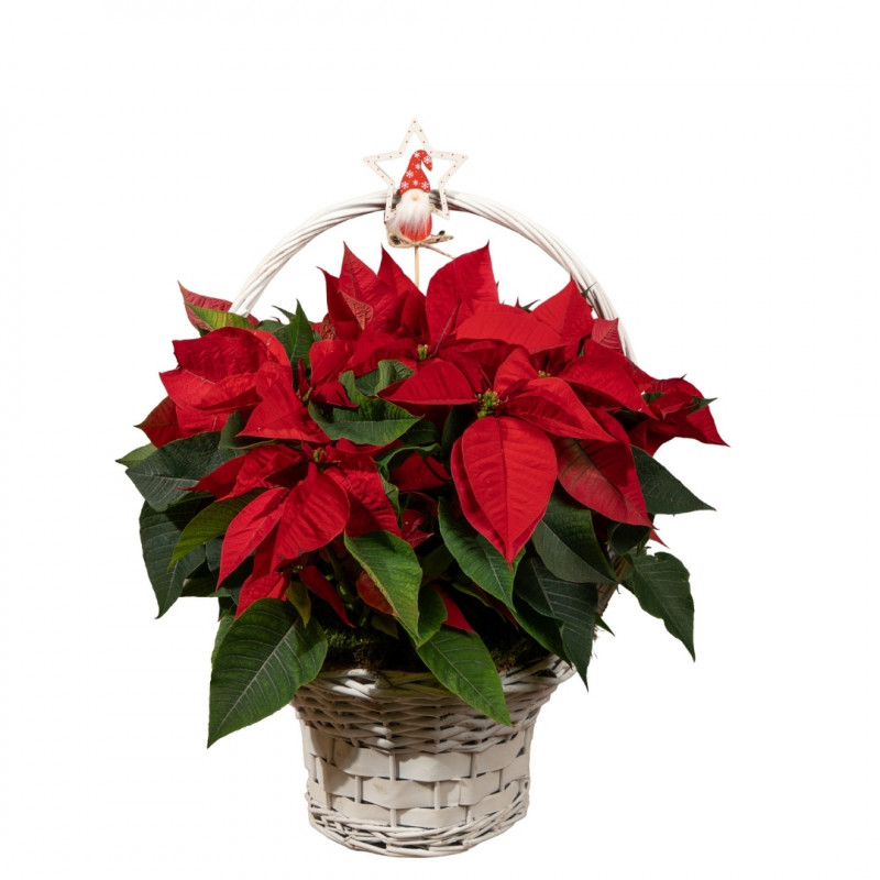 CESTA NAVIDEÑA RED