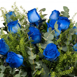 12 ROSAS AZULES
