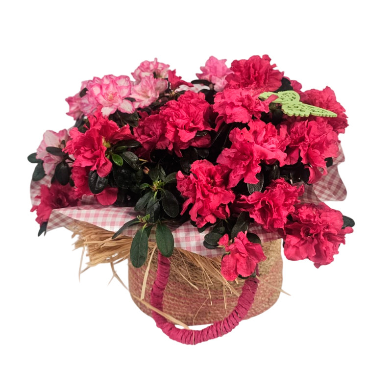 CANASTO DE AZALEAS