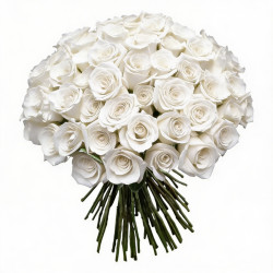 RAMO DE 100 ROSAS COLORES