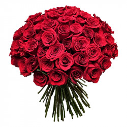 RAMO DE 100 ROSAS COLOR ROSA