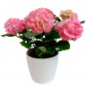 HORTENSIA ROSA