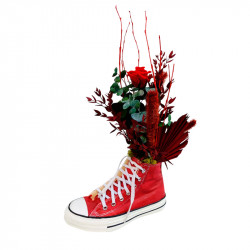 CONVERSE PRESERVADA ROJA
