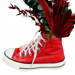 CONVERSE PRESERVADA ROJA