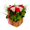 ROSAS DEL CAMPO