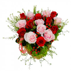 ROSAS DEL CAMPO