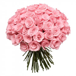 RAMO DE 100 ROSAS COLOR ROSA