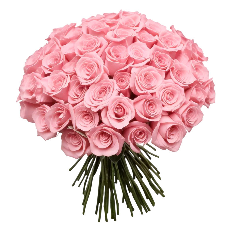 RAMO DE 100 ROSAS COLOR ROSA