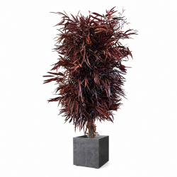 ÁRBOL NICOLII ROJO 130 CM.