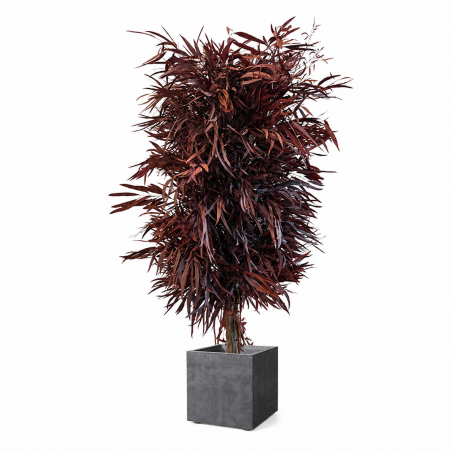 ÁRBOL NICOLII ROJO 130 CM.