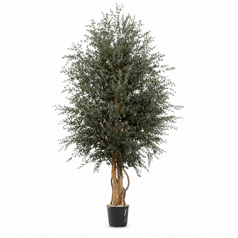 ÁRBOL PARVIFOLIA 130 CM.