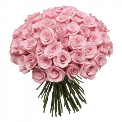 RAMO DE 100 ROSAS COLOR BLANCO