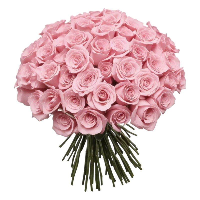RAMO DE 100 ROSAS COLOR BLANCO