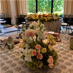 EVENTOS EV-26006