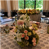 EVENTOS EV-26006