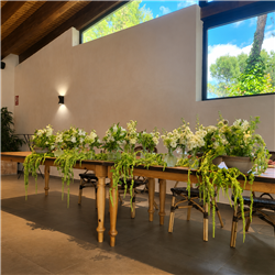 EVENTOS EV-26010