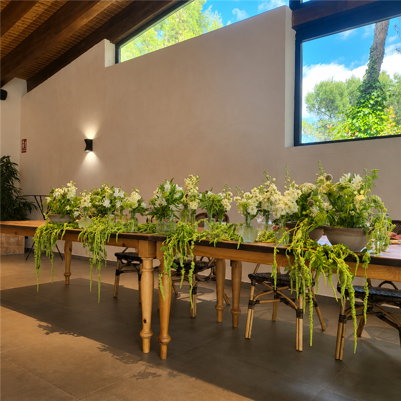 EVENTOS EV-26010